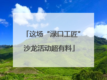 这场“渌口工匠”沙龙活动超有料