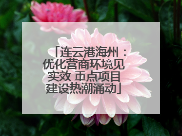 连云港海州：优化营商环境见实效 重点项目建设热潮涌动