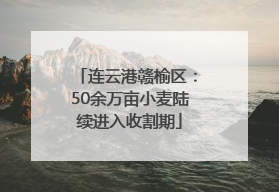 连云港赣榆区：50余万亩小麦陆续进入收割期