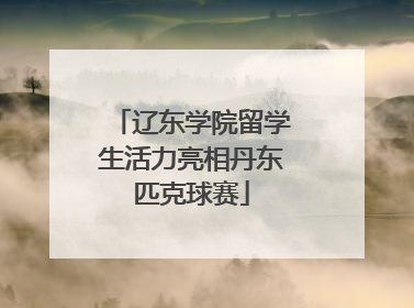 辽东学院留学生活力亮相丹东匹克球赛