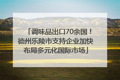 调味品出口70余国！德州乐陵市支持企业加快布局多元化国际市场