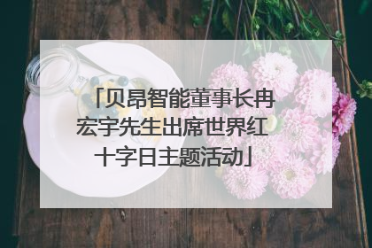 贝昂智能董事长冉宏宇先生出席世界红十字日主题活动