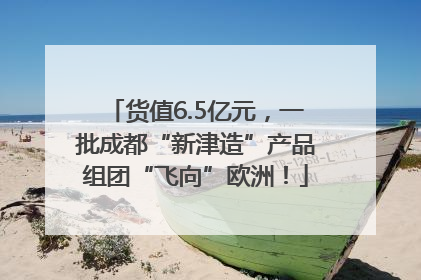 货值6.5亿元，一批成都“新津造”产品组团“飞向”欧洲！