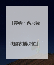 赤峰：两河流域稻农插秧忙