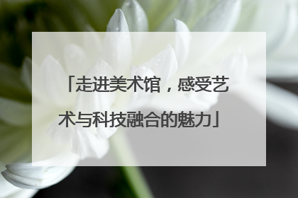 走进美术馆，感受艺术与科技融合的魅力