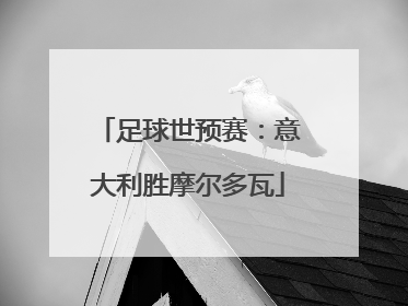 足球世预赛：意大利胜摩尔多瓦