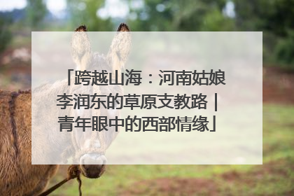 跨越山海：河南姑娘李润东的草原支教路｜青年眼中的西部情缘