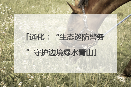 通化：“生态巡防警务”守护边境绿水青山