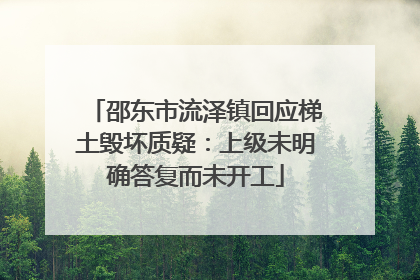 邵东市流泽镇回应梯土毁坏质疑：上级未明确答复而未开工