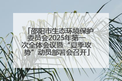 邵阳市生态环境保护委员会2025年第一次全体会议暨“夏季攻势”动员部署会召开