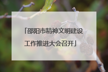 邵阳市精神文明建设工作推进大会召开