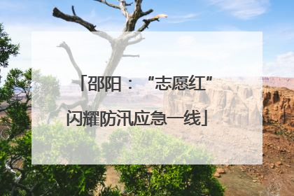 邵阳：“志愿红”闪耀防汛应急一线
