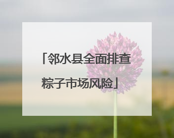 邻水县全面排查粽子市场风险