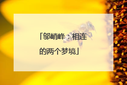 邬峭峰：相连的两个梦境