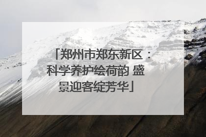 郑州市郑东新区：科学养护绘荷韵 盛景迎客绽芳华