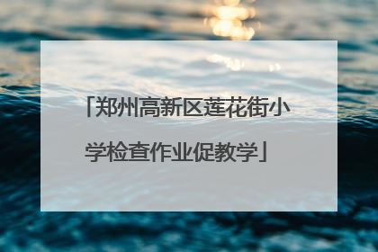 郑州高新区莲花街小学检查作业促教学