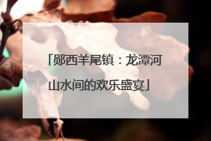 郧西羊尾镇：龙潭河山水间的欢乐盛宴