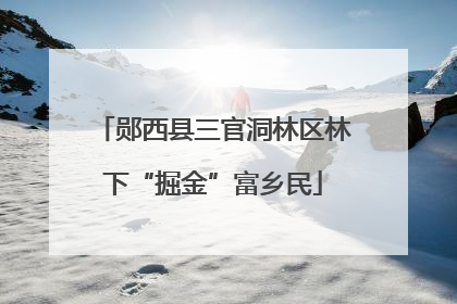郧西县三官洞林区林下“掘金”富乡民