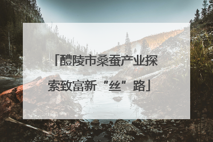 醴陵市桑蚕产业探索致富新“丝”路