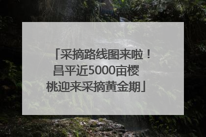 采摘路线图来啦！昌平近5000亩樱桃迎来采摘黄金期