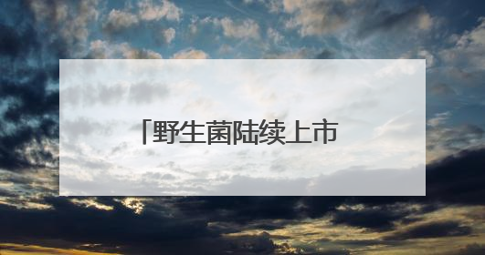 野生菌陆续上市 易门“鲜”气爆棚
