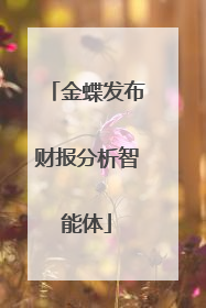 金蝶发布财报分析智能体