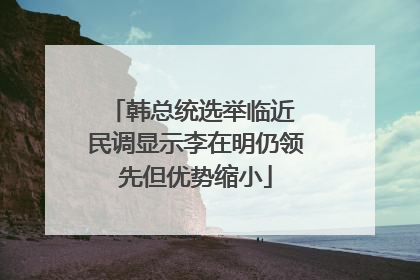 韩总统选举临近 民调显示李在明仍领先但优势缩小