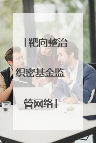 靶向整治织密基金监管网络