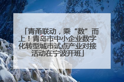 青甬联动，乘“数”而上！青岛市中小企业数字化转型城市试点产业对接活动在宁波开班