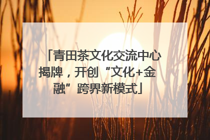 青田茶文化交流中心揭牌，开创“文化+金融”跨界新模式