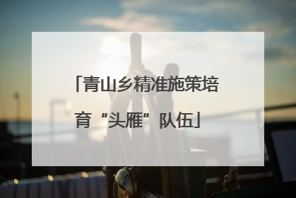 青山乡精准施策培育“头雁”队伍