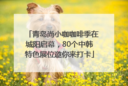 青岛尚小咖咖啡季在城阳启幕，80个中韩特色展位邀你来打卡