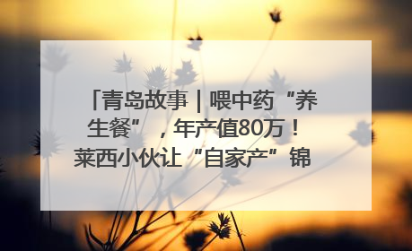 青岛故事｜喂中药“养生餐”，年产值80万！莱西小伙让“自家产”锦鲤“游”向全国