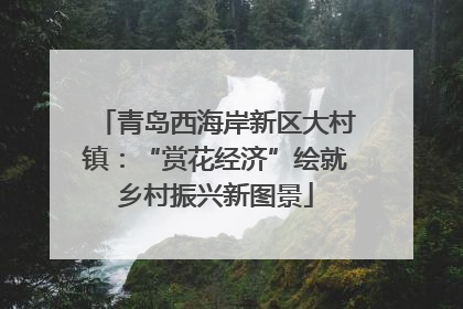 青岛西海岸新区大村镇：“赏花经济”绘就乡村振兴新图景