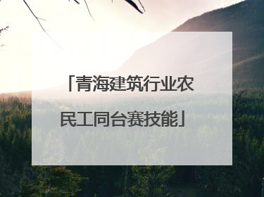 青海建筑行业农民工同台赛技能