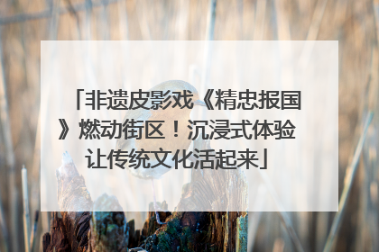 非遗皮影戏《精忠报国》燃动街区！沉浸式体验让传统文化活起来