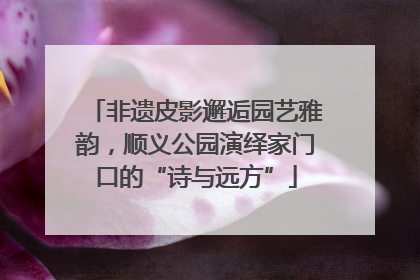 非遗皮影邂逅园艺雅韵，顺义公园演绎家门口的“诗与远方”