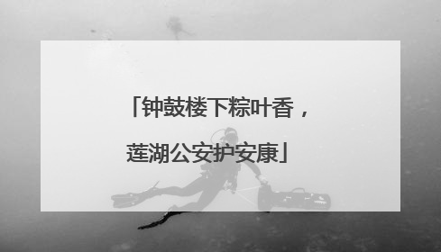 钟鼓楼下粽叶香，莲湖公安护安康