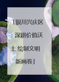 银川兴庆区：深耕价值沃土 绘制文明新画卷
