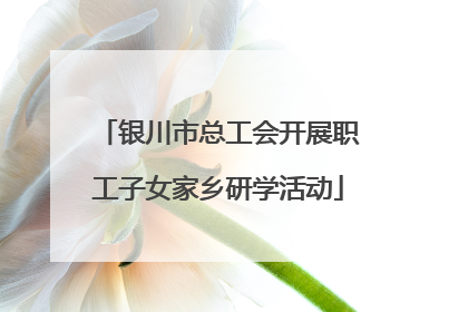银川市总工会开展职工子女家乡研学活动