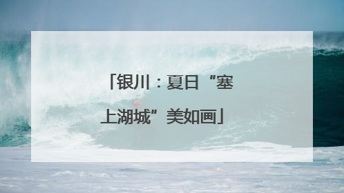 银川：夏日“塞上湖城”美如画