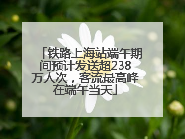 铁路上海站端午期间预计发送超238万人次，客流最高峰在端午当天