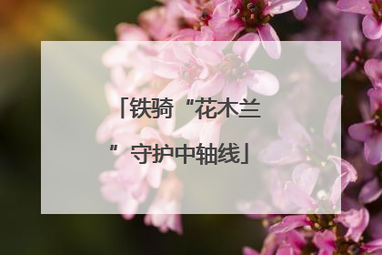 铁骑“花木兰”守护中轴线