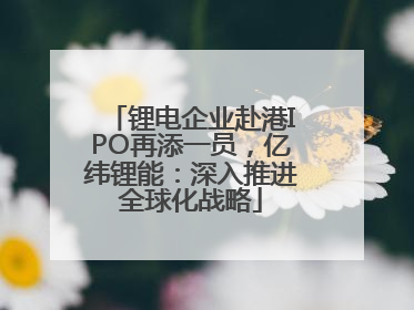 锂电企业赴港IPO再添一员，亿纬锂能：深入推进全球化战略