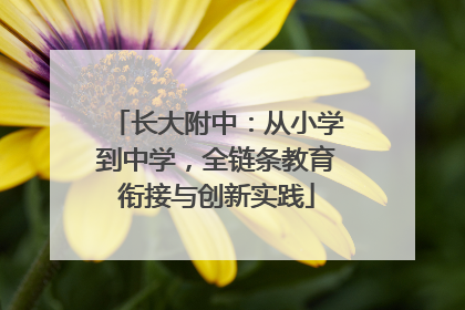 长大附中：从小学到中学，全链条教育衔接与创新实践