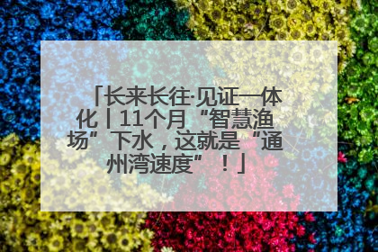 长来长往·见证一体化丨11个月“智慧渔场”下水，这就是“通州湾速度”！