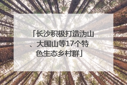 长沙积极打造沩山、大围山等17个特色生态乡村群
