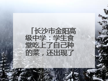 长沙市金阳高级中学：学生食堂吃上了自己种的菜，还出现了一批劳动能手