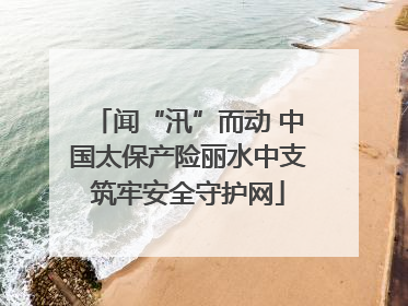 闻“汛”而动 中国太保产险丽水中支筑牢安全守护网