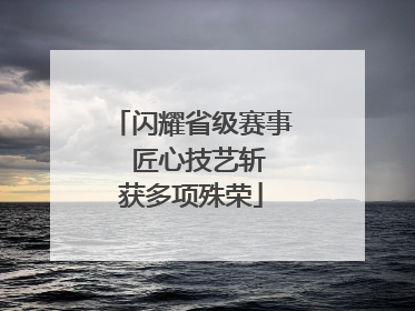 闪耀省级赛事  匠心技艺斩获多项殊荣